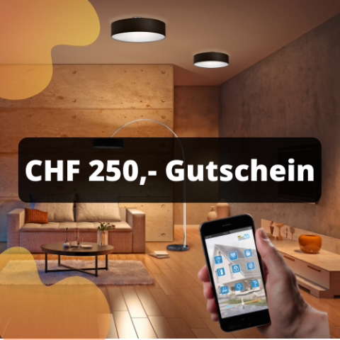 Gutschein fuer Leuchten 250 Franken