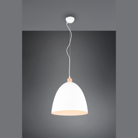 pendelleuchte-R30681931-468