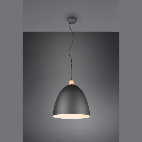 pendelleuchte-R30681932-480