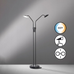 Wohnzimmerbeleuchtung LED Stehleuchte, 2 Strahler, Schalter, Farbwechsler, Dimmer, Schwarz, 135 cm Höhe, Schlafzimmerleuchte, Wartezimmer Stehlampe, Praxis Stehleuchte, Flurbeleuchtung, Lesebeleuchtung