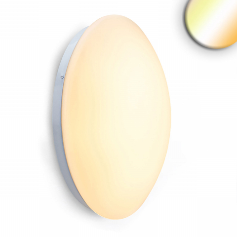 Applique murale LED, blanc, DipSwitch changeur de couleur, IP42, 34 Ø, éclairage de balcon, applique de salle de bain, éclairage de spa, applique d'hôtel, éclairage extérieur, éclairage de WC, éclairage extérieur