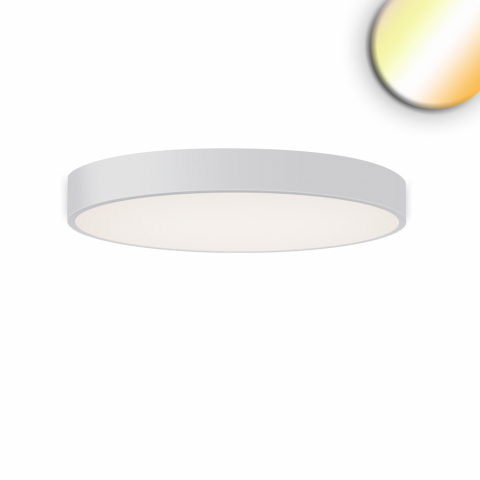 LED Deckenleuchte Weiss, Rund, Farbwechsler, Dimmbar, 80 cm Ø, Architekten Deckenleuchte, Hotel Deckenpaneel, Restaurant Deckenbeleuchtung, Gastrolicht, Minimalistische Leuchte, Innenraumbeleuchtung, IP20