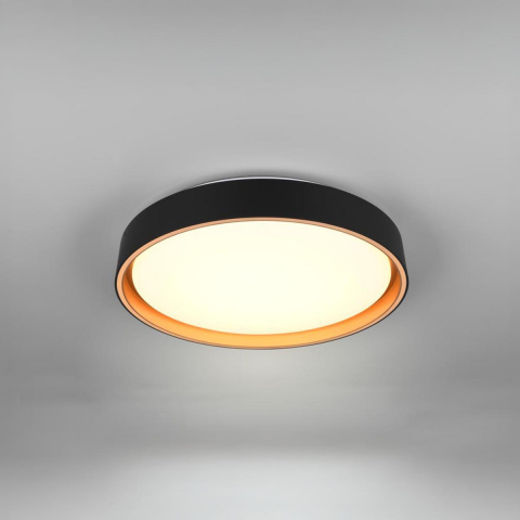 Esszimmerbeleuchtung, Schlafzimmerbeleuchtung, Wohnzimmerbeleuchtung, LED Deckenleuchte, Wandleuchte, Dimmer, Farbwechsler, Fernbedienung, 40 cm Ø, Küchenbeleuchtung, Gästezimmerbeleuchtung, Hotelzimmerbeleuchtung, Restaurantbeleuchtung