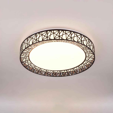 Wohnzimmerbeleuchtung, Schlafzimmerbeleuchtung, Flurbeleuchtung LED Deckenleuchte, Farbwechsler, Dimmer, Fernbedienung, 48 cm Ø, Hotelzimmerbeleuchtung, Esszimmerbeleuchtung, Küchenbeleuchtung