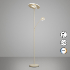 Éclairage de bureau, éclairage de cabinet médical, éclairage de bureau à domicile, éclairage d'hôtel, éclairage de salon, éclairage de salle à manger, éclairage de chambre à coucher, lampadaire LED, couleur sable, CCT, variateur tactile, lampe de lecture, hauteur 180 cm