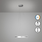 Éclairage de la salle à manger, éclairage de la cuisine, éclairage de la restauration, lampe LED suspendue, nickel, variateur de lumière, changement de couleur, télécommande, 50 cm Ø, éclairage de bureau, éclairage de l'hôtel, éclairage de la réception