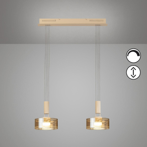 Esszimmerbeleuchtung, Küchenbeleuchtung, Restaurantbeleuchtung, Wohnzimmerbeleuchtung, Cafébeleuchtung, LED Pendelleuchte, Metall, Glas, Höhe verstellbar, 2 Spots, 64 cm x 20 cm