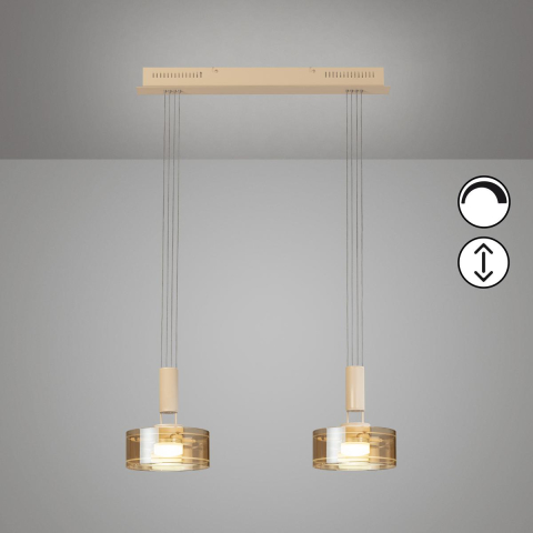 Esszimmerbeleuchtung, Küchenbeleuchtung, Restaurantbeleuchtung, Wohnzimmerbeleuchtung, Cafébeleuchtung, LED Pendelleuchte, Metall, Glas, Höhe verstellbar, 2 Spots, 64 cm x 20 cm