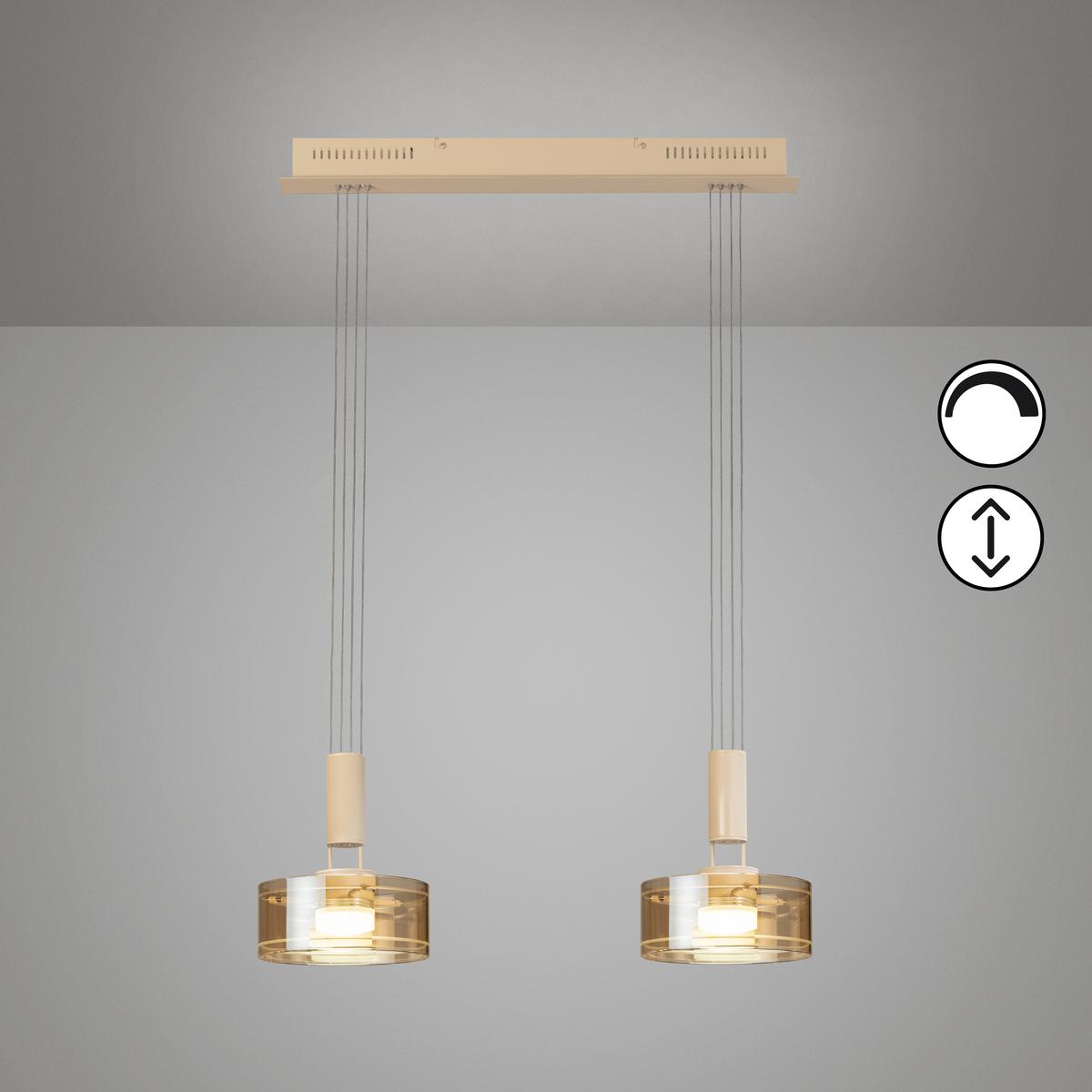 Esszimmerbeleuchtung, Küchenbeleuchtung, Restaurantbeleuchtung, Wohnzimmerbeleuchtung, Cafébeleuchtung, LED Pendelleuchte, Metall, Glas, Höhe verstellbar, 2 Spots, 64 cm x 20 cm