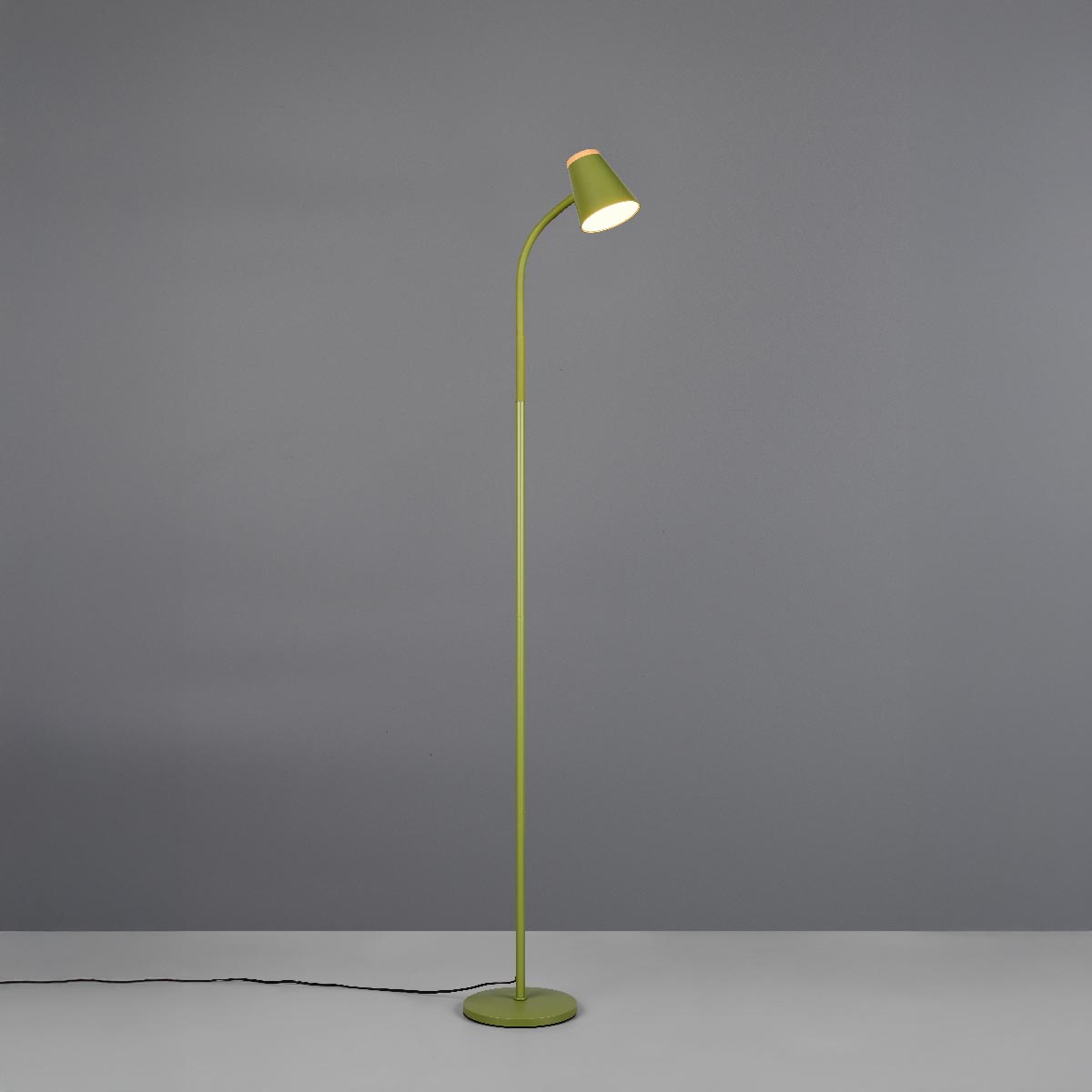 LED Stehleuchte, Grün, Kunststoff, Flexhals, Schalter, 145 cm Höhe