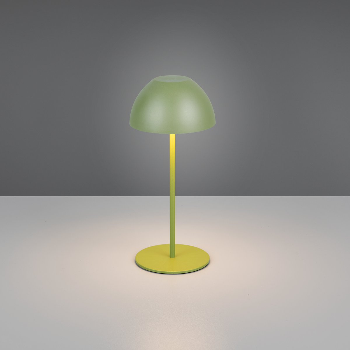 LED Tischleuchte, Grün, Kunststoff, Touch Funktion, Akku, IP44, 20 cm Höhe