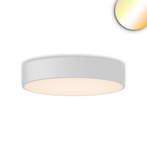 LED Deckenleuchte, Dimmbar, DALI-fähig, Color Switch, CCT, Weiß, Rund, IP44, 60 cm Ø
