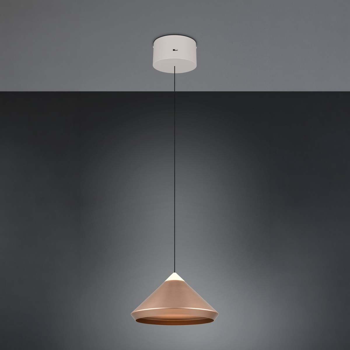 LED Pendelleuchte, Coffee, Höhe verstellbar, CCT, 30 cm Ø