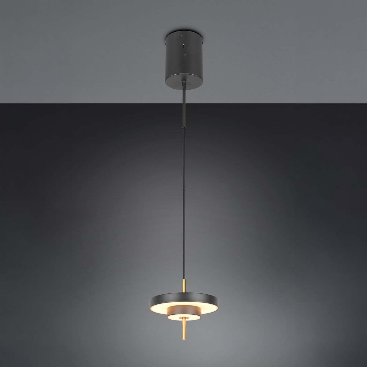 LED Pendelleuchte, Schwarz, Höhe anpassbar, Dimmer, CCT, 20 cm Ø
