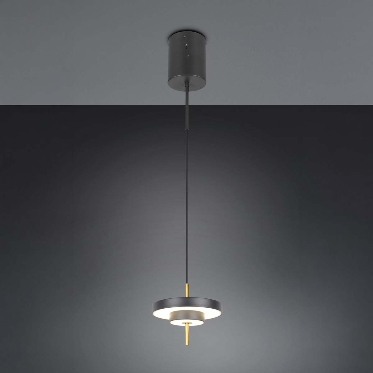 LED Pendelleuchte, Schwarz, Höhe anpassbar, Dimmer, CCT, 20 cm Ø