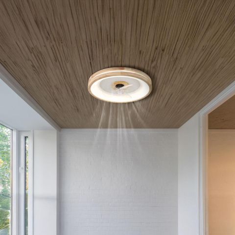 Plafonnier LED, ventilateur, CCT, variateur, veilleuse, minuterie, télécommande, 50 cm Ø