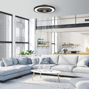 Plafonnier LED, ventilateur, noir, CCT, veilleuse, minuterie, télécommande, 54 cm Ø