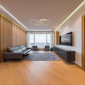 LED Deckenleuchte, Aluminium, Acryl, Gold, Silber, Opal, CCT, Dimmer, Fernbedienung, 110 cm x 72 cm