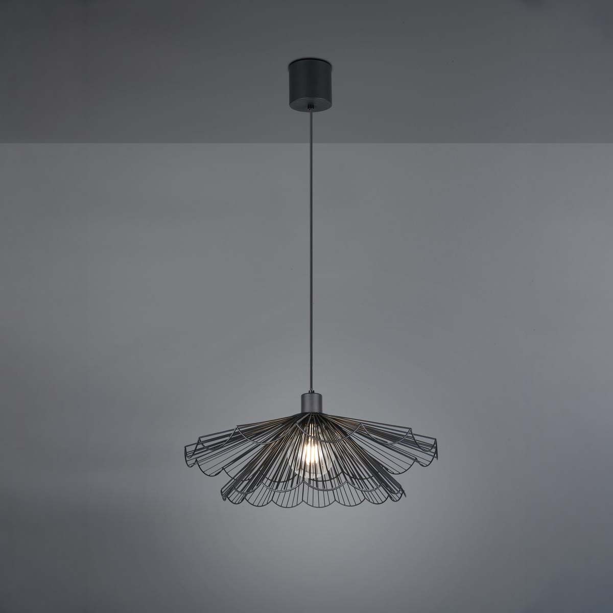 Pendelleuchte, Schwarz, Fächer, Höhe anpassbar, 50 cm Ø