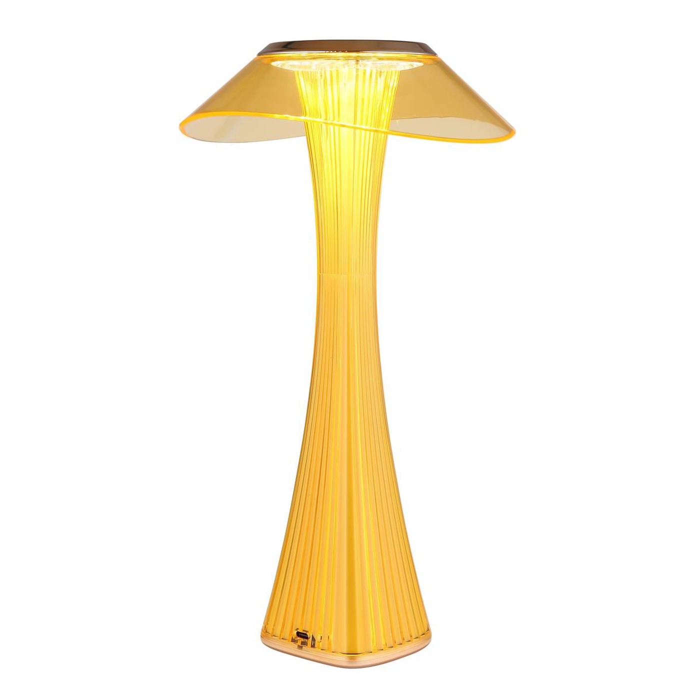 G21025A_p01