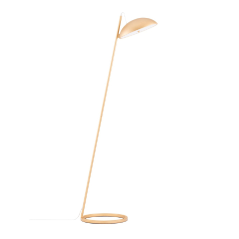 NL_9006099_p01