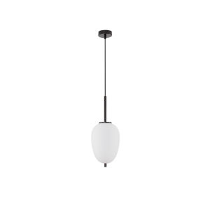 NL_9624076_p01