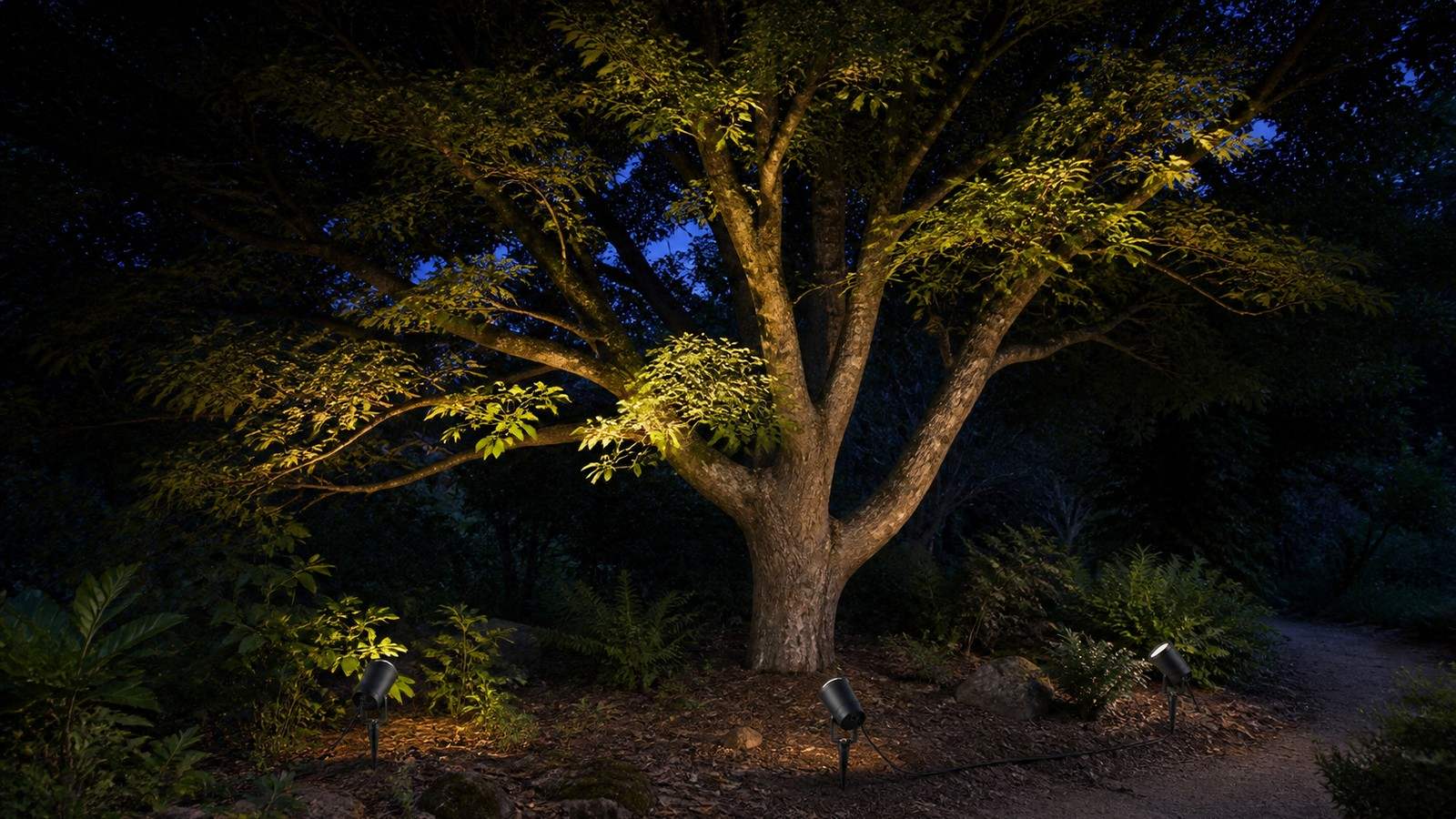 Baumbeleuchtung im Garten mit Erdspießleuchten und Strahlern richtig planen