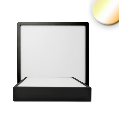 115493_p01