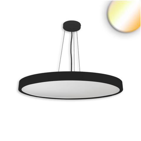 117505_p01