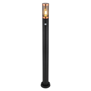 G3159BCS_p01