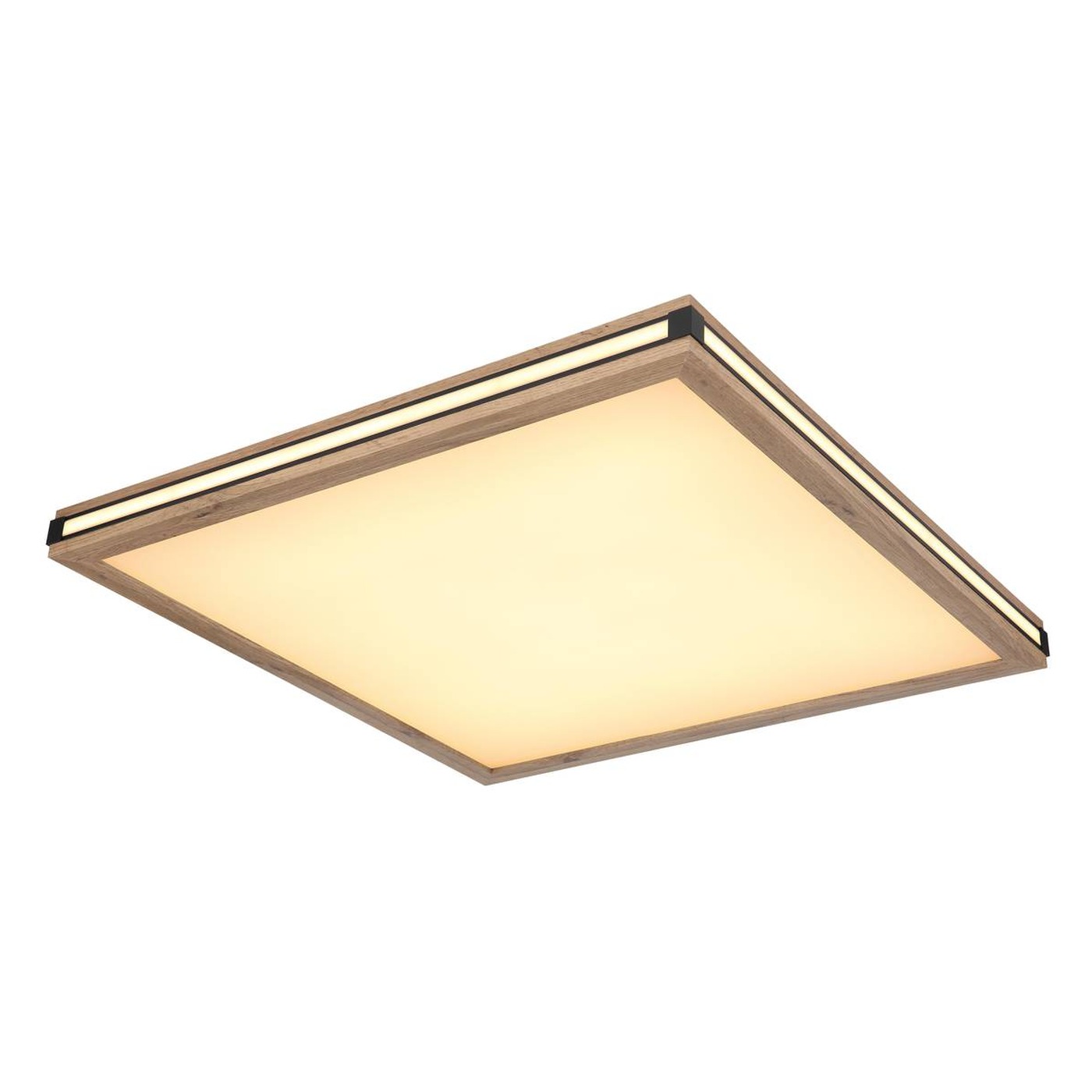 G41589D3_p01