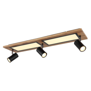 G67306D1_p01