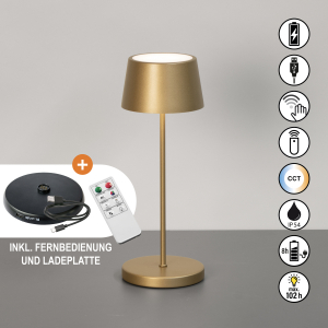 Tischleuchte-Außenleuchte-Asena-Pro-1x-LED-2-W-inkl.-bronzefarben-850678-2