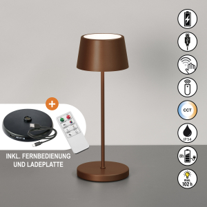 Tischleuchte-Außenleuchte-Asena-Pro-1x-LED-2-W-inkl.-rostfarben-850675-2