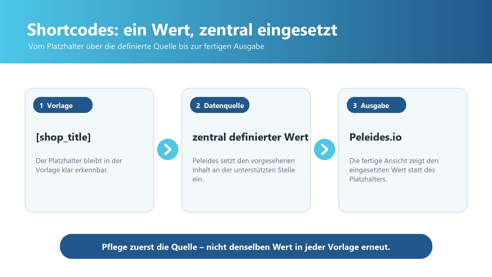 Ablauf vom Shortcode in einer Vorlage &uuml;ber die definierte Datenquelle bis zur fertigen Ausgabe