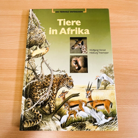 Tiere-in-Afrika-Buch-Kinderbuch-Tierwelt-entdecken-lernen-lesen-26.11.2023-1-1024x1024