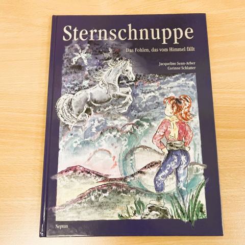 Sternschnuppe - Das Fohlen das vom Himmel fällt - Buch - Kinderuch - 1. Auflage - lesen - vorlesen - 02.02.2024 (1)