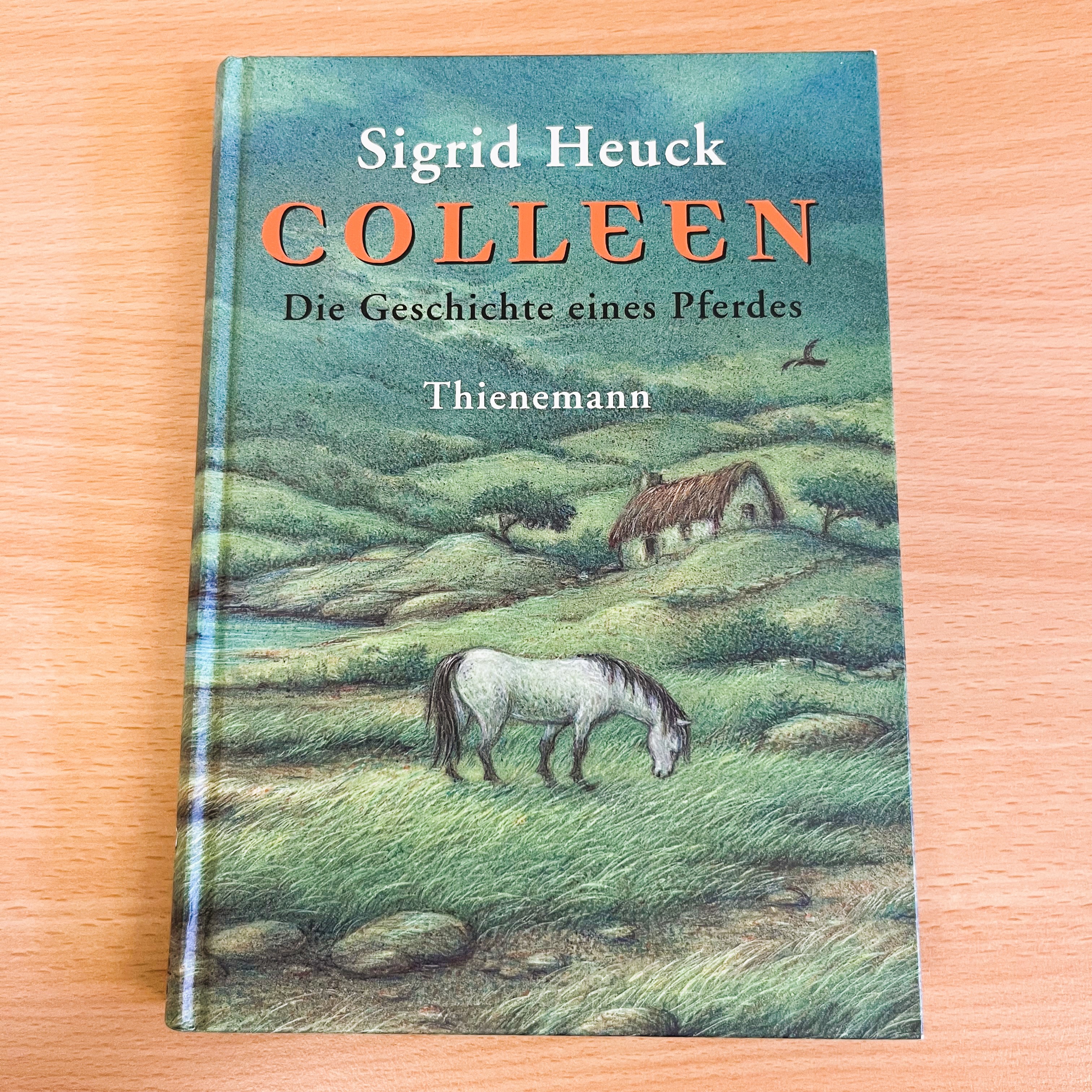 Colleen - Sigrid Heuck - Pferdebuch - Connemara - Irland - Pferdemarkt - Reiterleben - Secondhand - Ehrlich erzählt - Pferdeliebe - 1